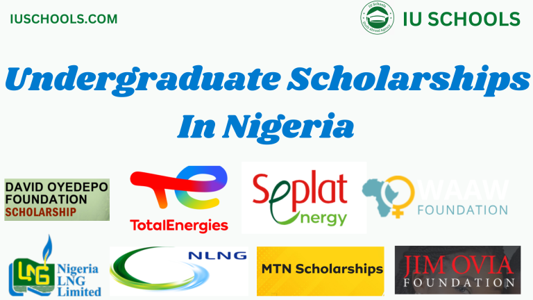 undergraduate scholarships in Nigeria