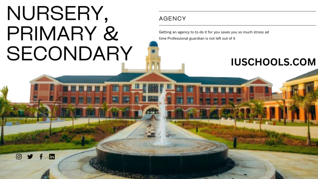 Agents in Nigeria for Primary & Secondary School Admission